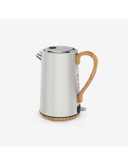 Mechanically controlled stainless steel electric kettle