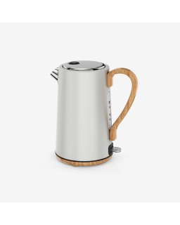 Mechanically controlled stainless steel electric kettle