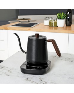 Smart stainless steel gooseneck electric kettle