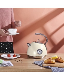 Newly designed stainless steel dome electric kettle
