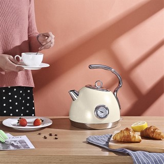 Newly designed stainless steel dome electric kettle