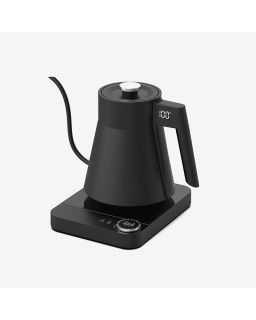 Modern constant temperature gooseneck electric kettle