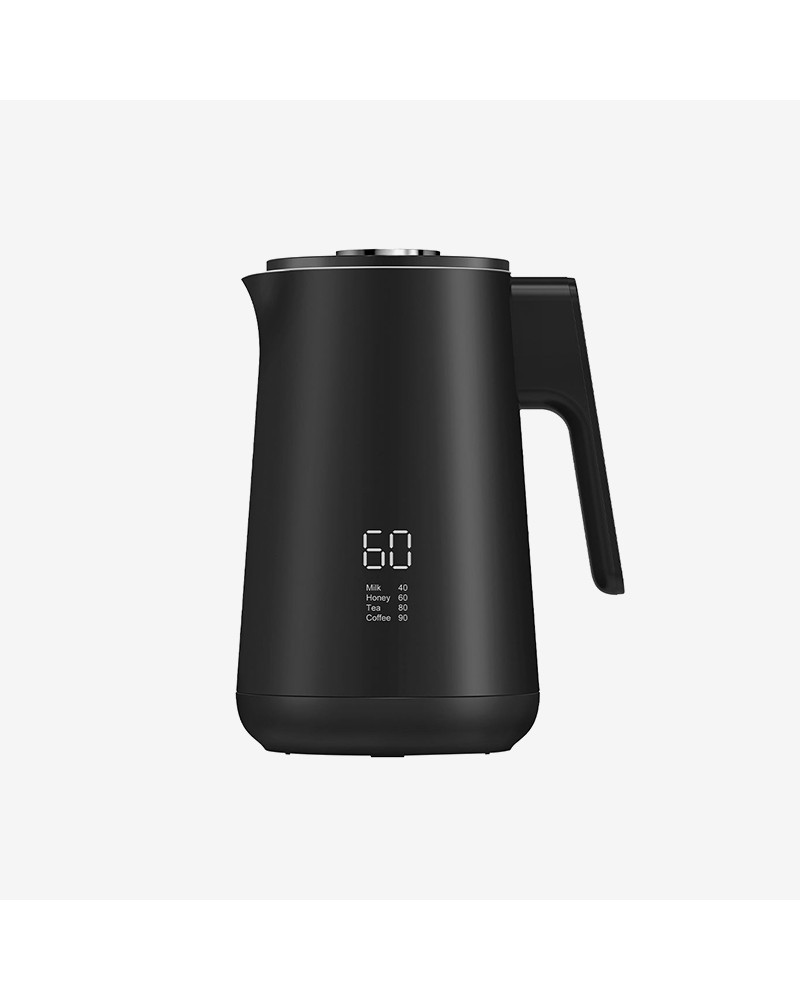 Temperature-controlled 304 stainless steel electric kettlectric kettle