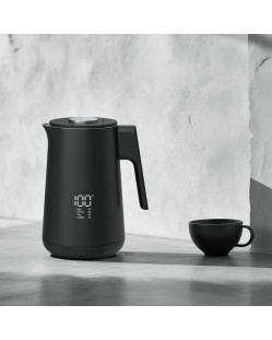 Temperature-controlled 304 stainless steel electric kettlectric kettle