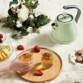 Green modern stainless steel electric kettle