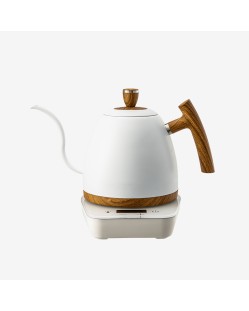Gooseneck temperature-controlled electric kettle