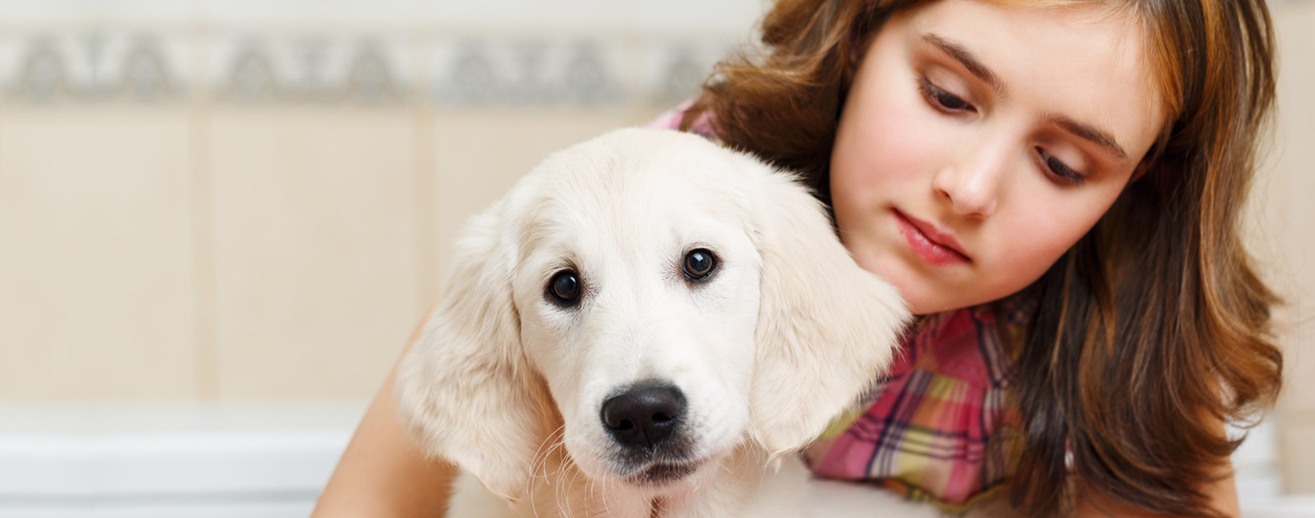 Buy Cute Dogs Cats<span>For Online</span>